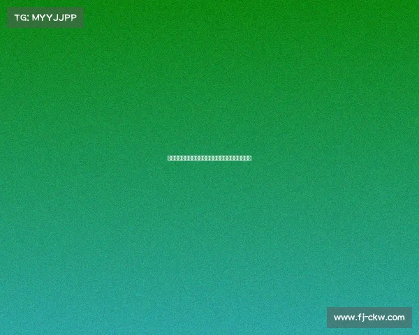 热血沸腾空手道全球锦标赛顶尖高手巅峰对决荣耀之战